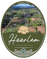 Haarlem Logo